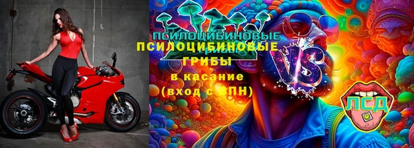 МДПВ Алзамай